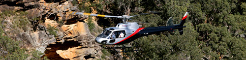 Image: Charter Service